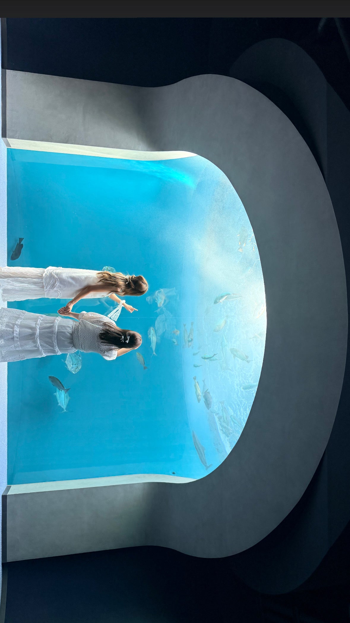 Aquarium two-piece set