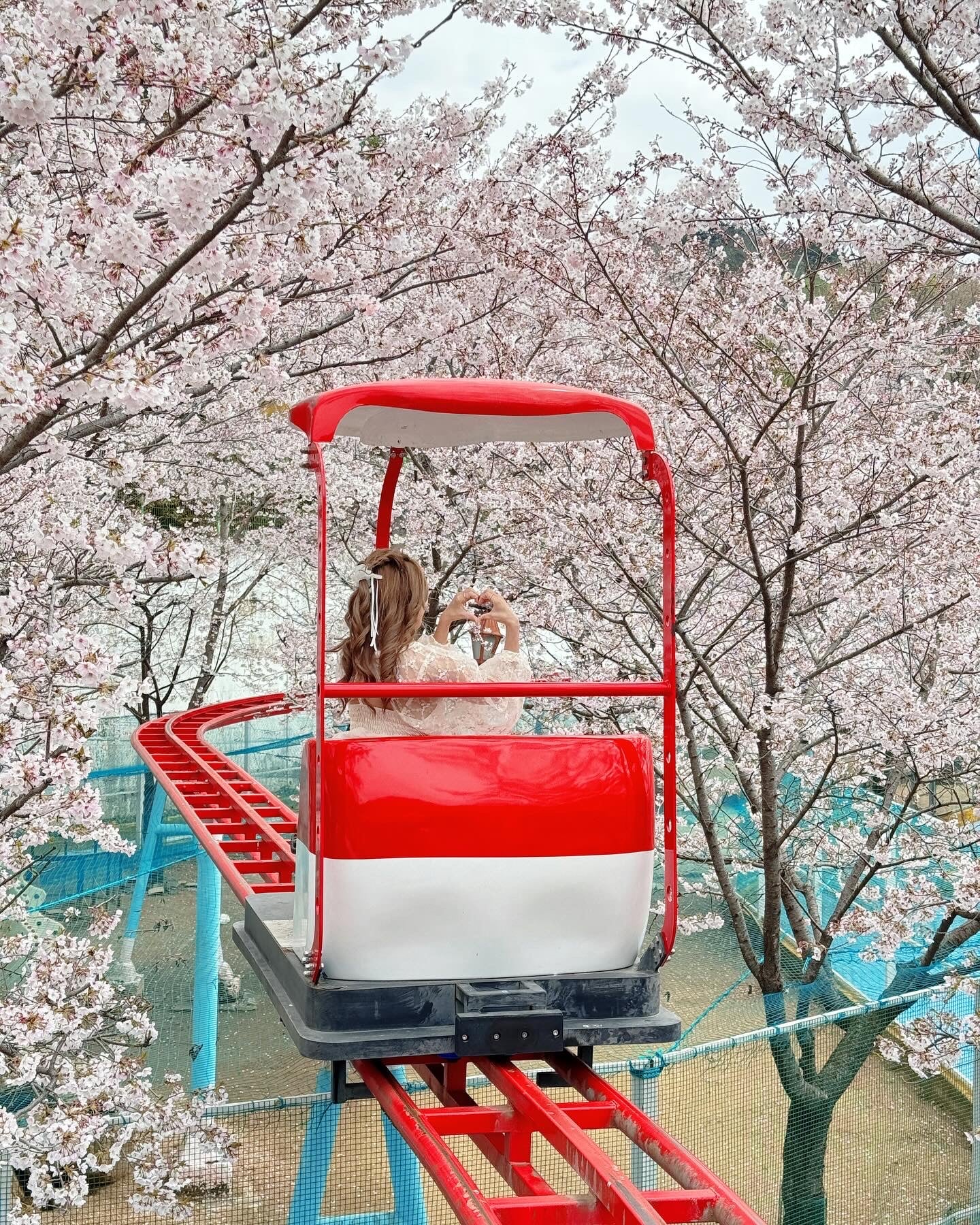 Roman holiday ops(two length vers.)