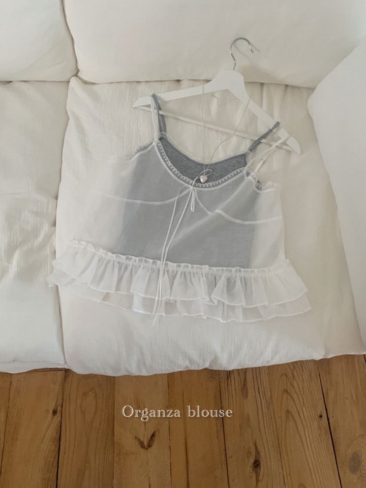 Organza blouse