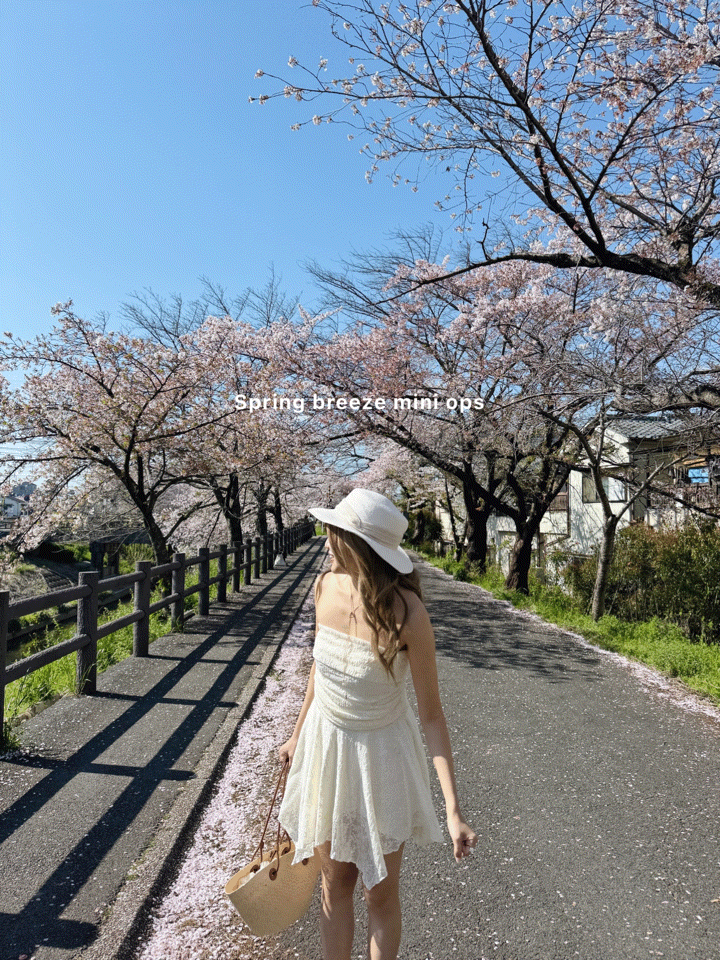 Spring breeze mini ops