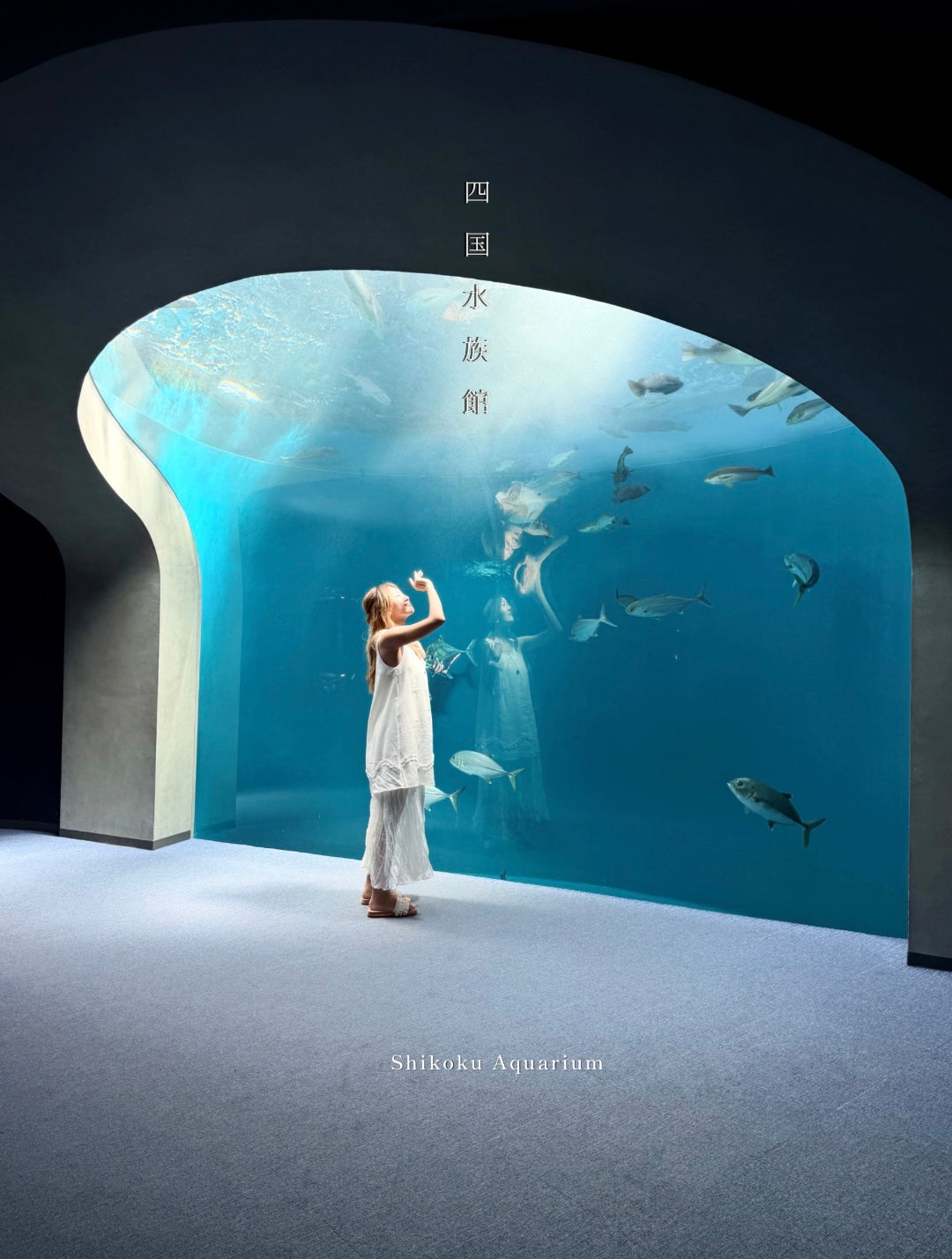 Aquarium two-piece set