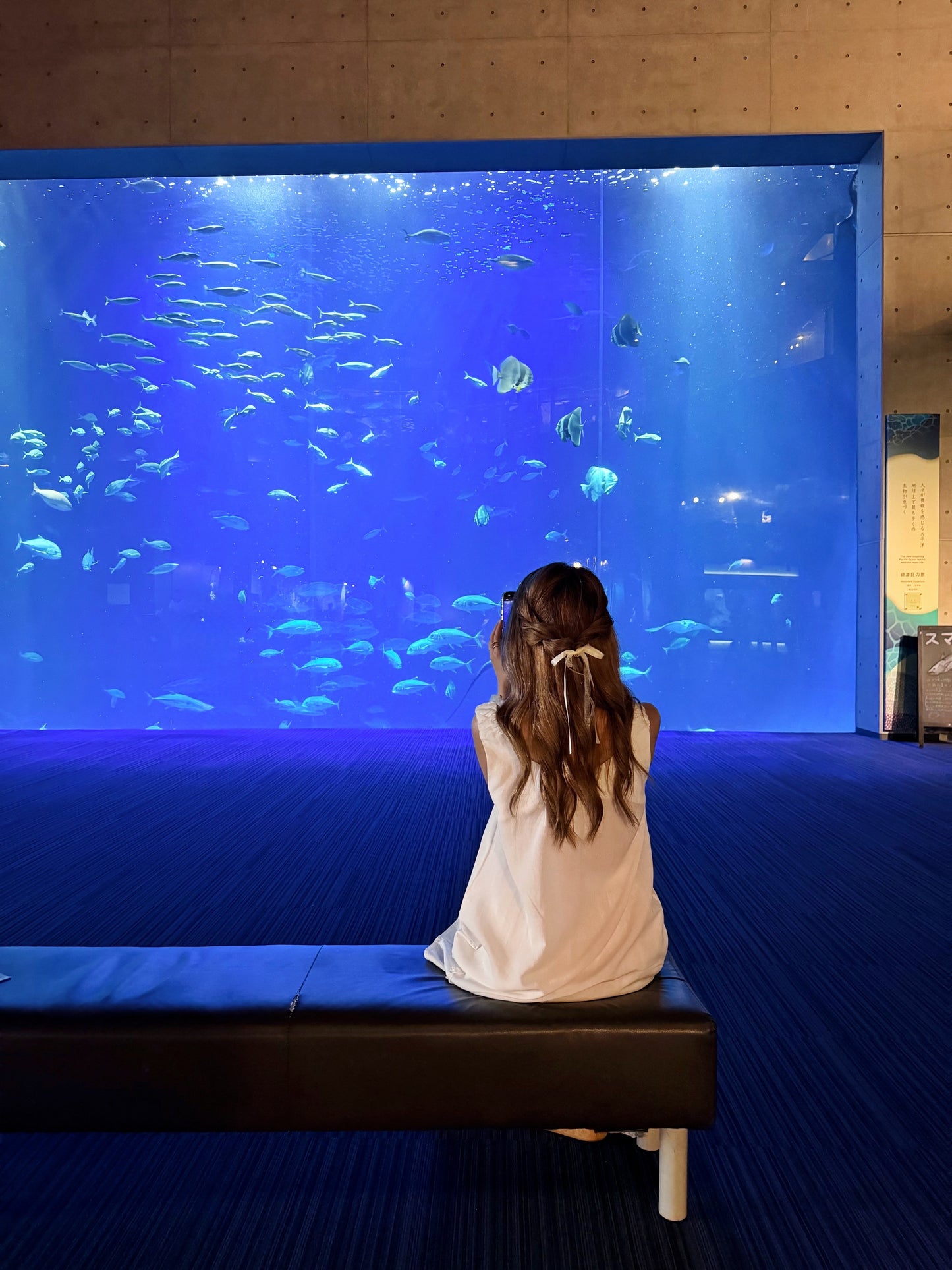 Aquarium two-piece set