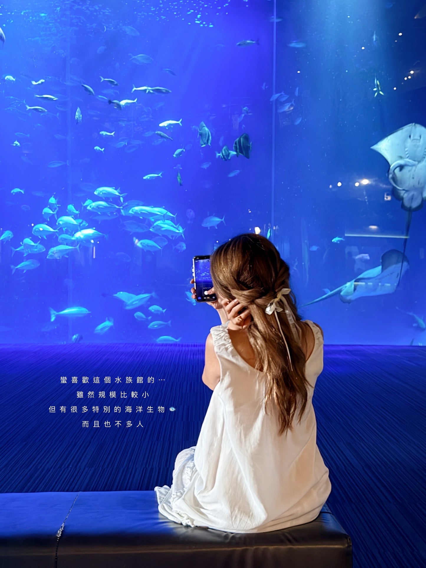 Aquarium two-piece set