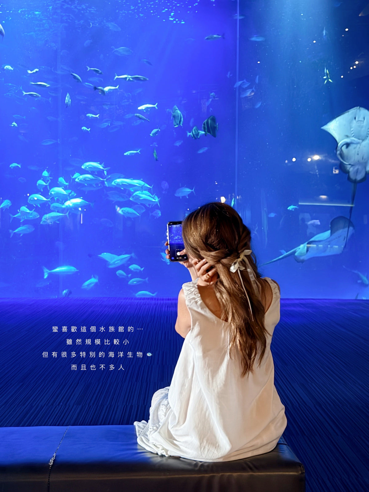Aquarium two-piece set