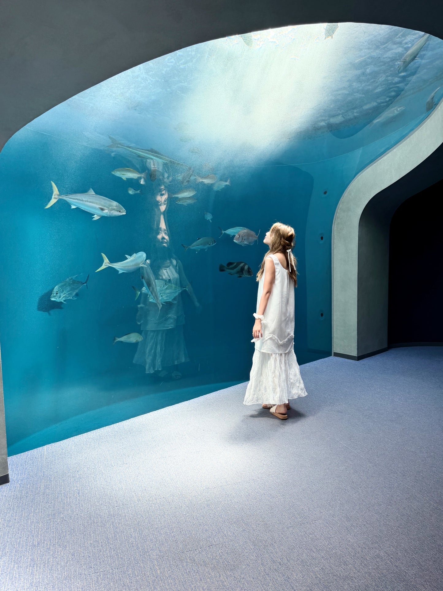 Aquarium two-piece set