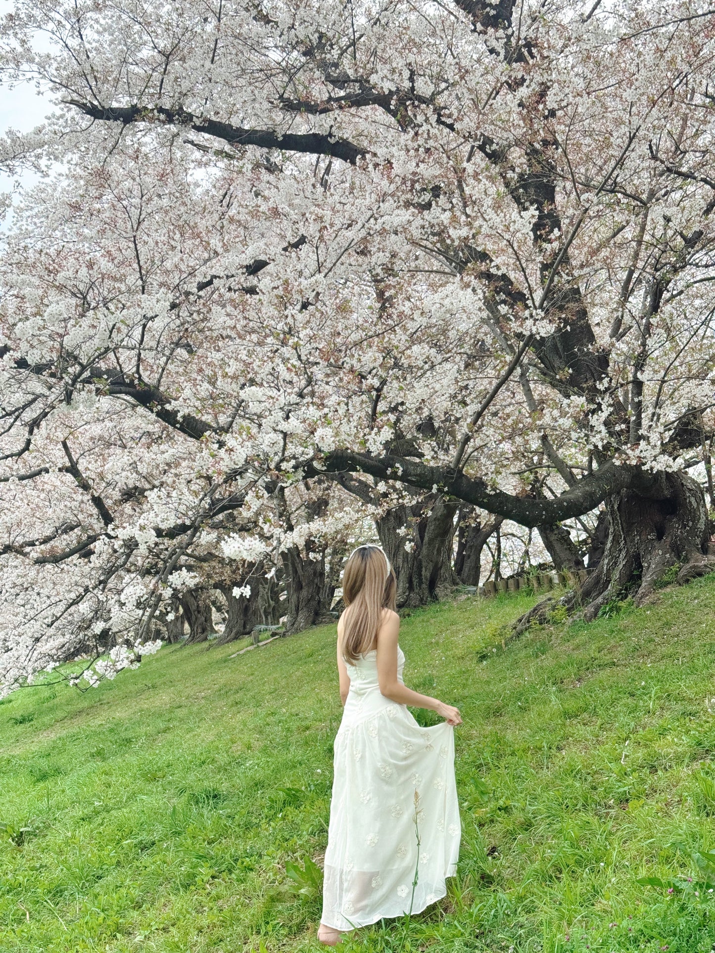 Runaway princess dress