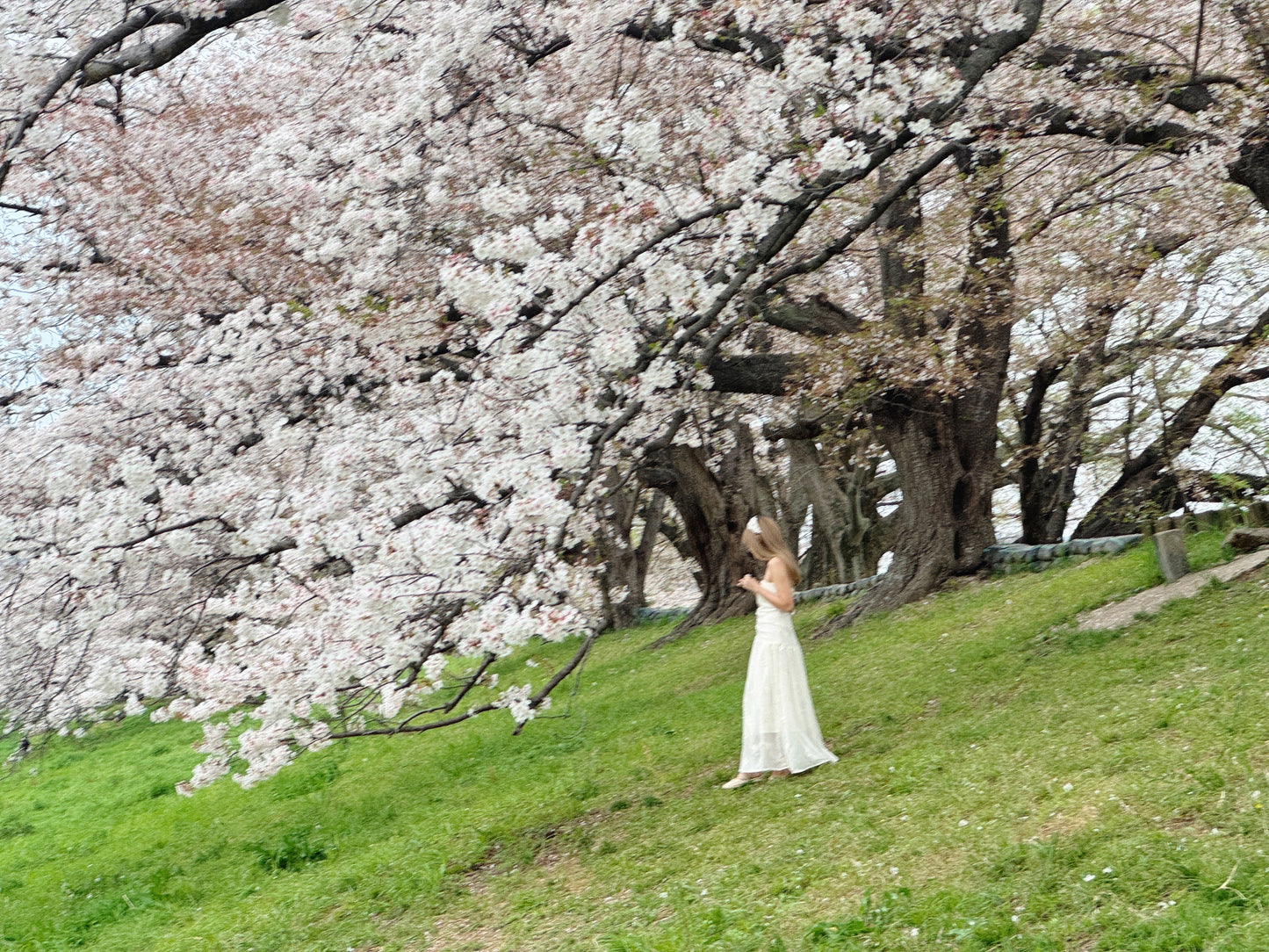 Runaway princess dress