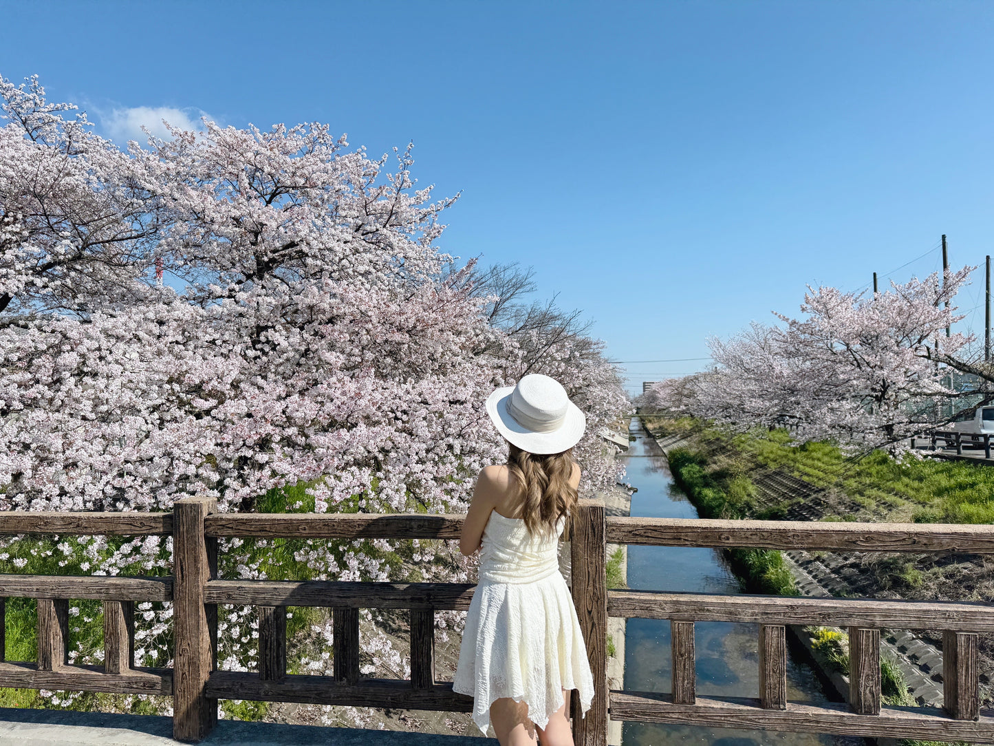 Spring breeze mini ops