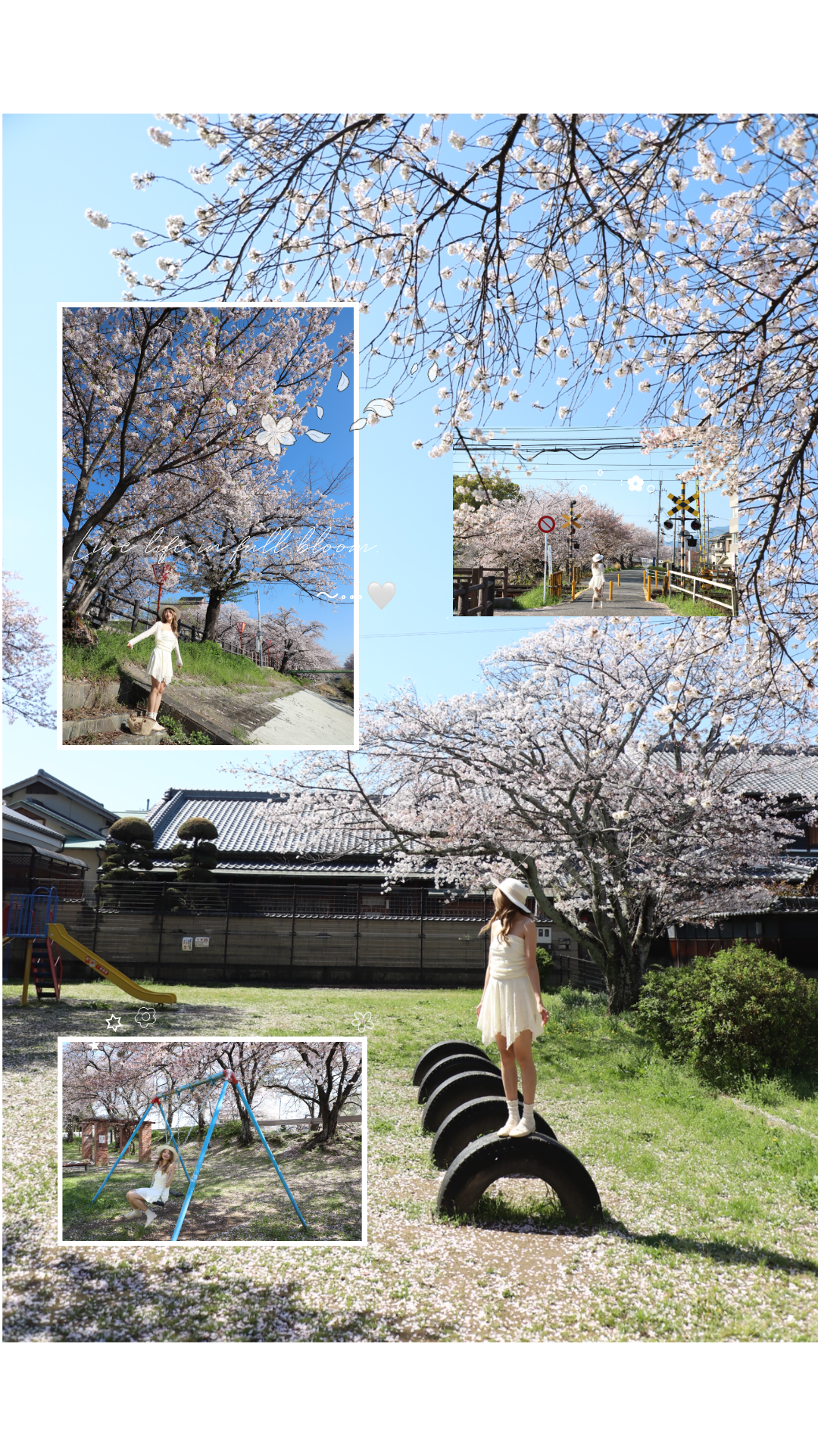 Spring breeze mini ops